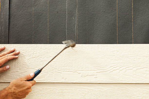 Best Stone Veneer Siding  in Lorane, PA